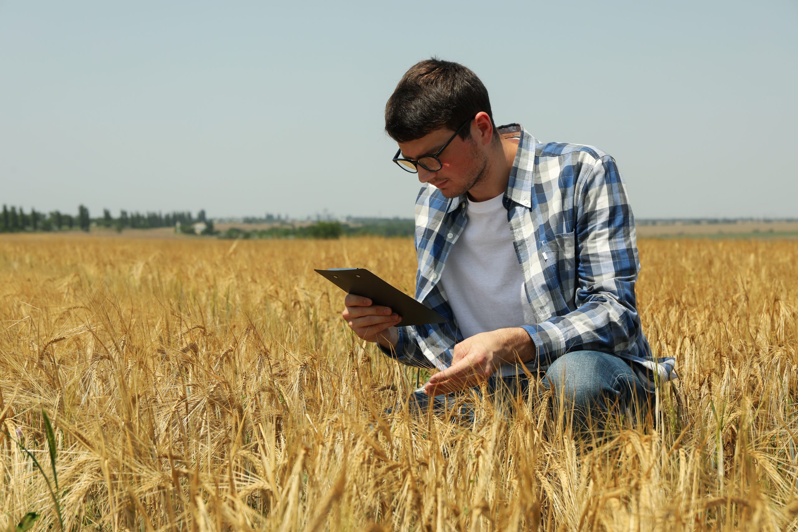 Driving Agriculture business digitally with Fox ERP