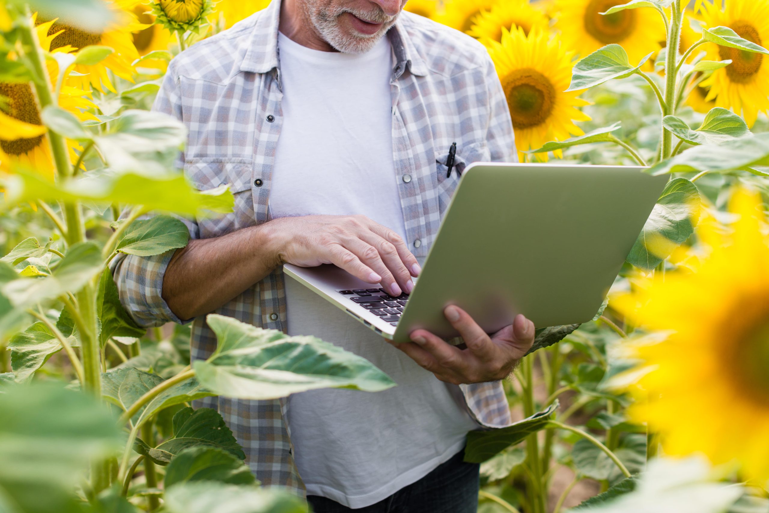 Agriculture and Digitization: Harnessing Agro Tech with “Fox ERP for Agriculture”